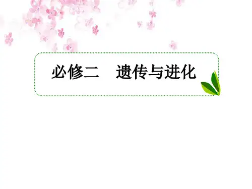 高考一轮生物复习课件(人教版)第3讲 基因的表达