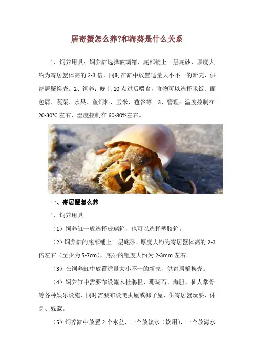 居寄蟹怎么养-和海葵是什么关系