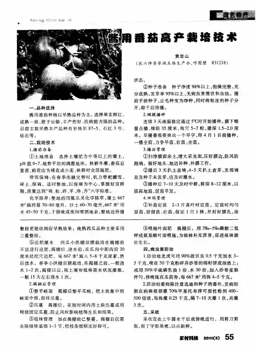 酱用番茄高产栽培技术