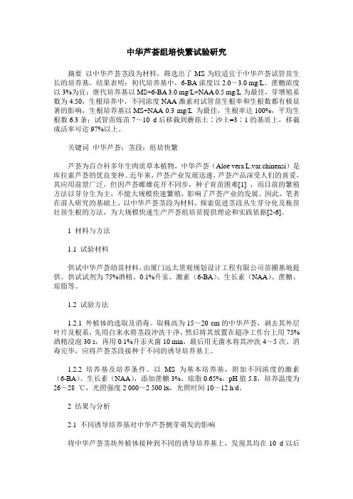 中华芦荟组培快繁试验研究