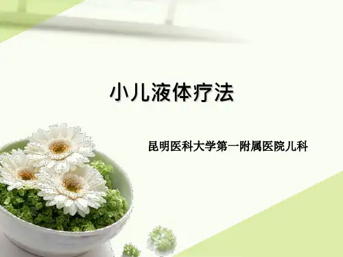 小儿液体疗法PPT课件