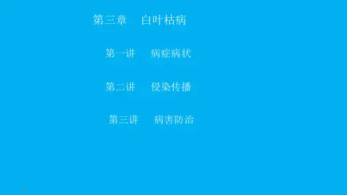 水稻白叶枯病简介PPT课件