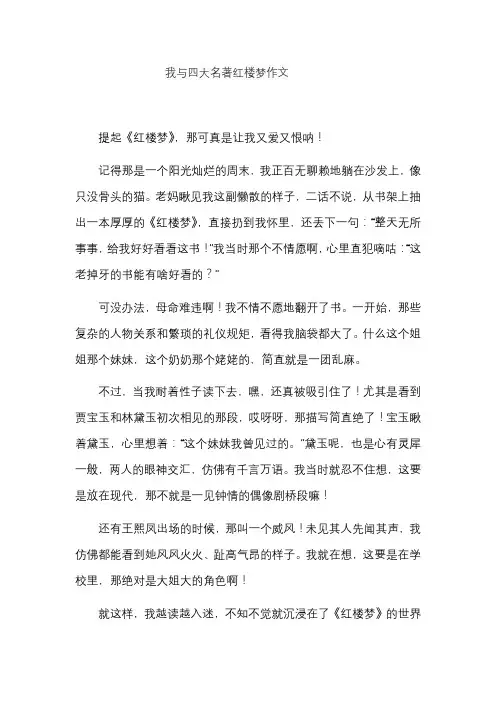 我与四大名著红楼梦作文