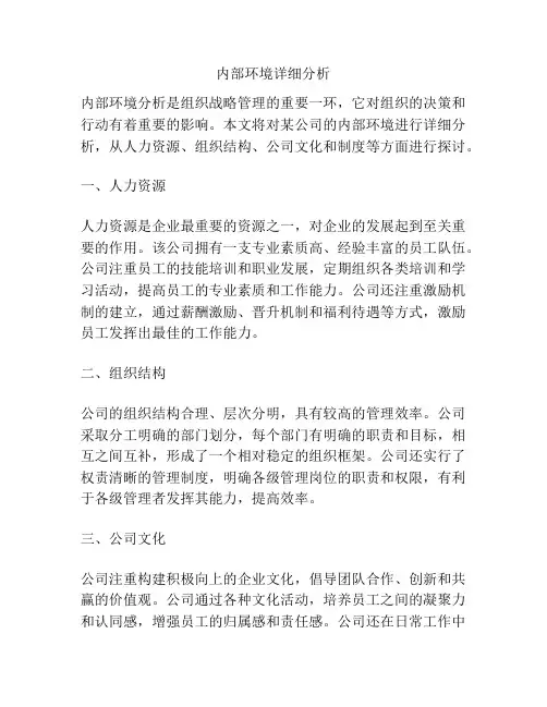 内部环境详细分析