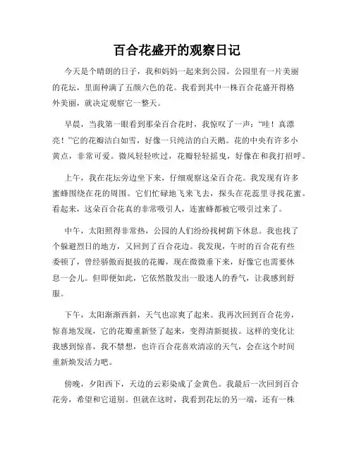 小学三年级作文百合花盛开的观察日记
