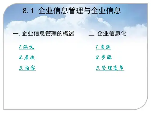 企业信息管理与企业信息化ppt课件