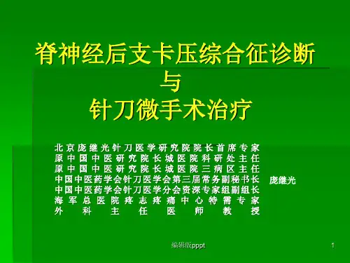 脊神经后支卡压综合征的诊断与完整版本