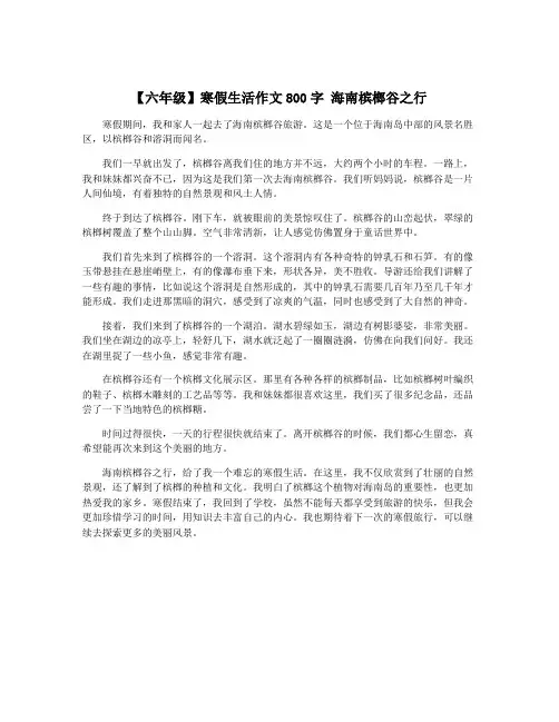 【六年级】寒假生活作文800字 海南槟榔谷之行