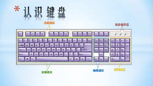 电脑打字基础知识
