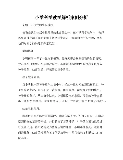 小学科学教学解析案例分析