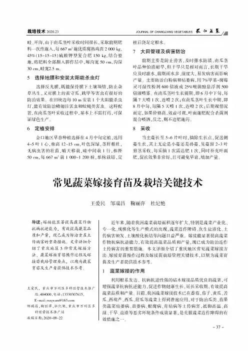 常见蔬菜嫁接育苗及栽培关键技术