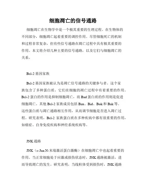 细胞凋亡的信号通路