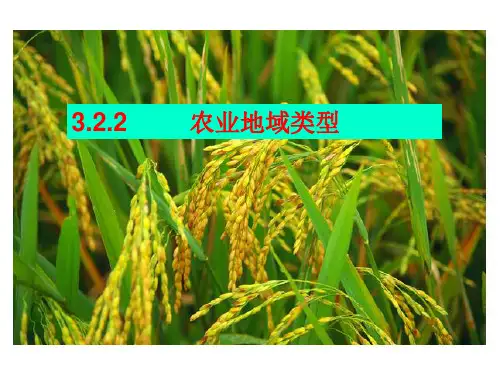 水稻种植业 课件(高效课堂模式)