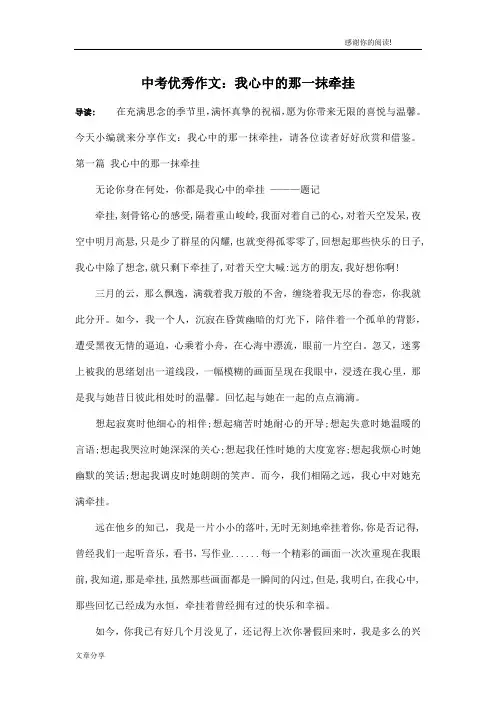 中考优秀作文：我心中的那一抹牵挂