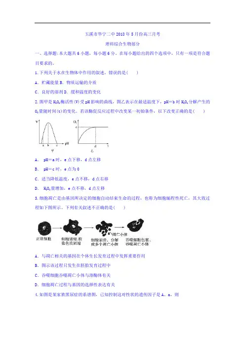 云南省玉溪市华宁县第二中学高三5月月考生物试题+Word