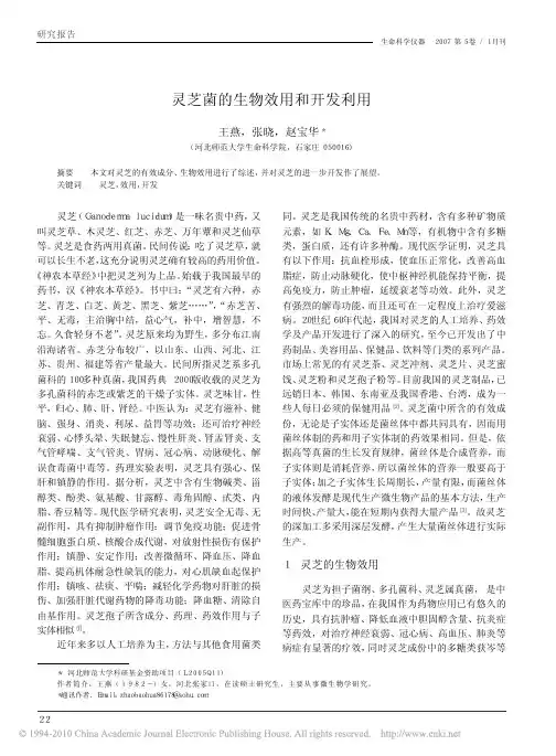 灵芝菌的生物效用和开发利用