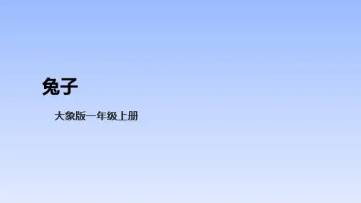 大象版一年级上册科学课件2.1兔子 课件(共13张ppt)