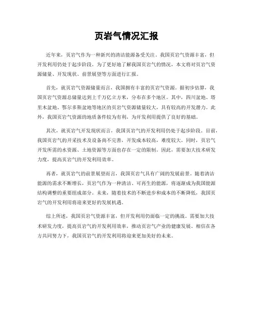 页岩气情况汇报