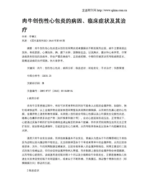 肉牛创伤性心包炎的病因、临床症状及其治疗