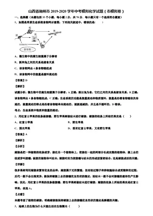 山西省朔州市2019-2020学年中考模拟化学试题(市模拟卷)含解析