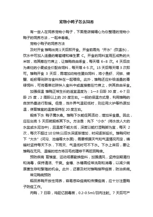 宠物小鸭子怎么饲养
