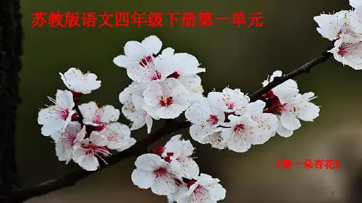 《第一朵杏花》PPT教学课件