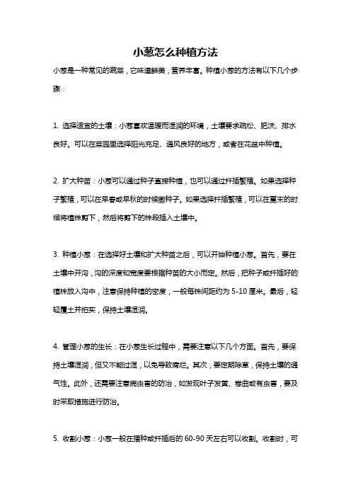 小葱怎么种植方法