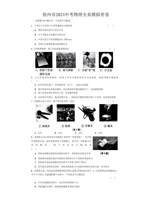 2024年江苏省徐州市中考物理全真模拟卷(含解析)