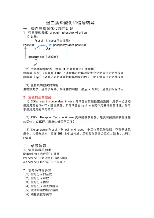 分子生物学---11蛋白质磷酸化和信号转导