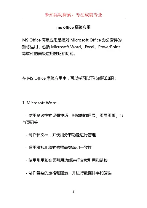ms office高级应用