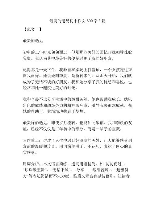 最美的遇见初中作文800字3篇