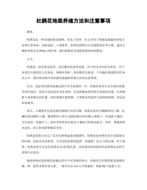 杜鹃花地栽养殖方法和注意事项