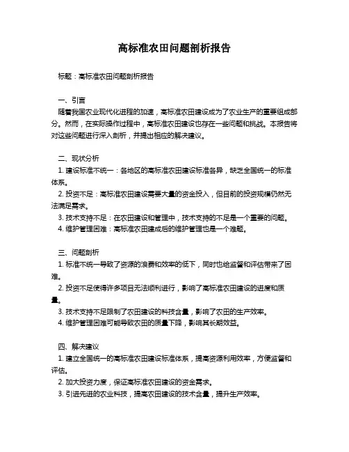 高标准农田问题剖析报告