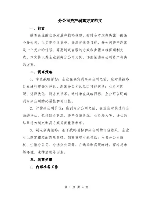分公司资产剥离方案范文