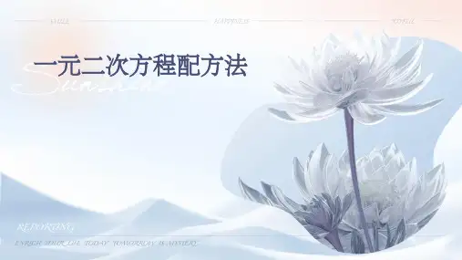 一元二次方程配方法