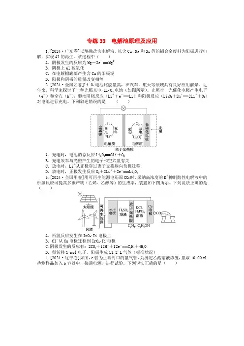 新高考2025版高考化学一轮复习微专题小练习专练33电解池原理及应用