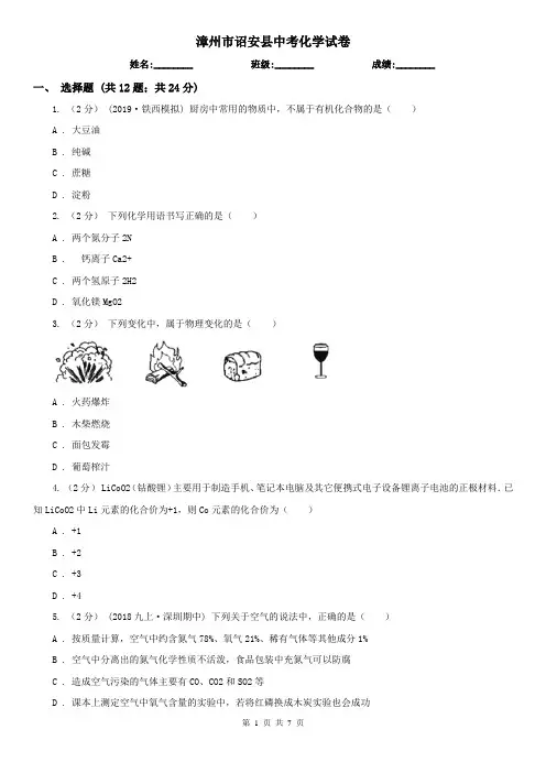 漳州市诏安县中考化学试卷