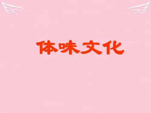 高中政治 文化生活第一课第一框体味文化课件 新人教版必修3