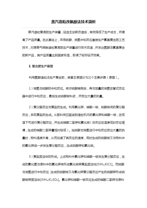 蒸汽造粒改氨酸法技术简析