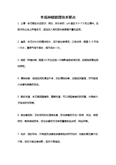 冬瓜种植管理技术要点