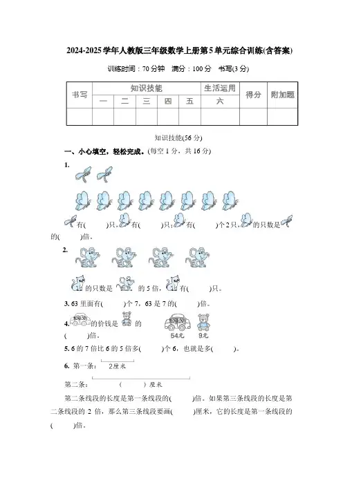 2024-2025学年人教版三年级数学上册第5单元综合训练(含答案)