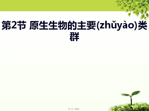 《原生生物的主要类群》PPT课件