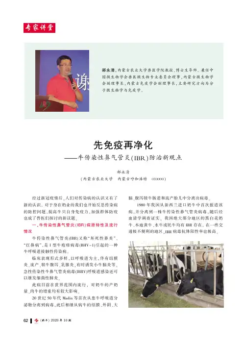 先免疫再净化——牛传染性鼻气管炎(IBR)防治新观点