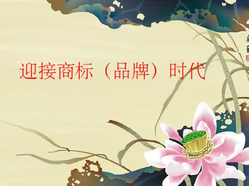 《商标知识讲座》PPT课件