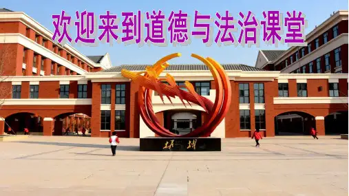 初中道德与法治《世界因生命而精彩(1)》优质教学课件