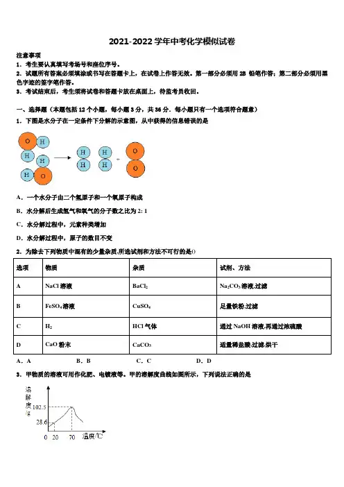 2022年湖南省岳阳市名校中考冲刺卷化学试题含解析