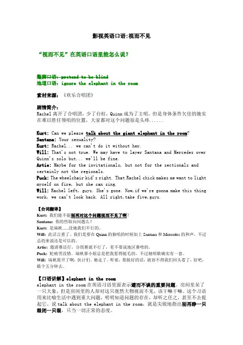 影视英语口语-视而不见