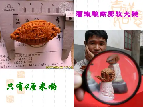 《核舟记》ppt课件(63页)