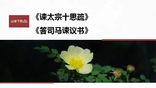 统编版高中语文必修下册《答司马谏议书》文言复习 教学PPT课件