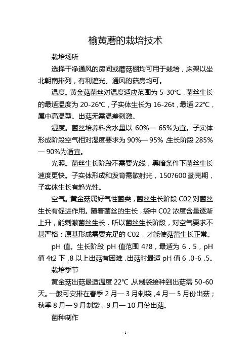 榆黄蘑的栽培技术